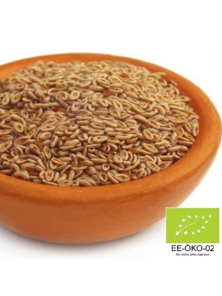 PSÜLLIUM (KÕRBE-TEELEHT) SEEMNEKESTAD  - MAHEKASVATATUD (ÖKO) 250 g