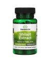 SHILAJIT (MUMIO) – SEKSUAALENERGIA, VITAALSUS, ELUJÕUD