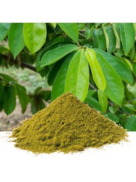 GRAVIOLA-LEHTIJAUHE - Perusta peräisin oleva ihmevoimia omaava kasvi. 80 g. GRAVIOLA-LEHTIJAUHE - Perusta peräisin oleva ihmevoimia omaava kasvi. 80 g.