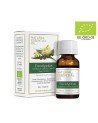 Eukalüpti eeterlik õli (ÖKO) mahetoode 10 ml